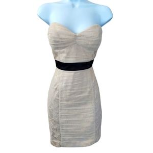 BEBE Beautiful Floral Lace Dress